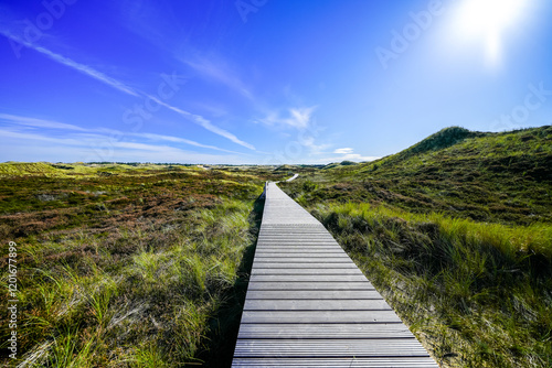 Fototapeta Naklejka Na Ścianę i Meble -  View of the dunes on the North Frisian island of Amrum. Landscape in the north. Nature on the North Sea island.
