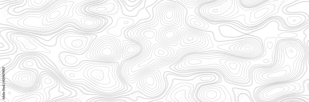 Abstract Contour Topographic Line Pattern in Black and White