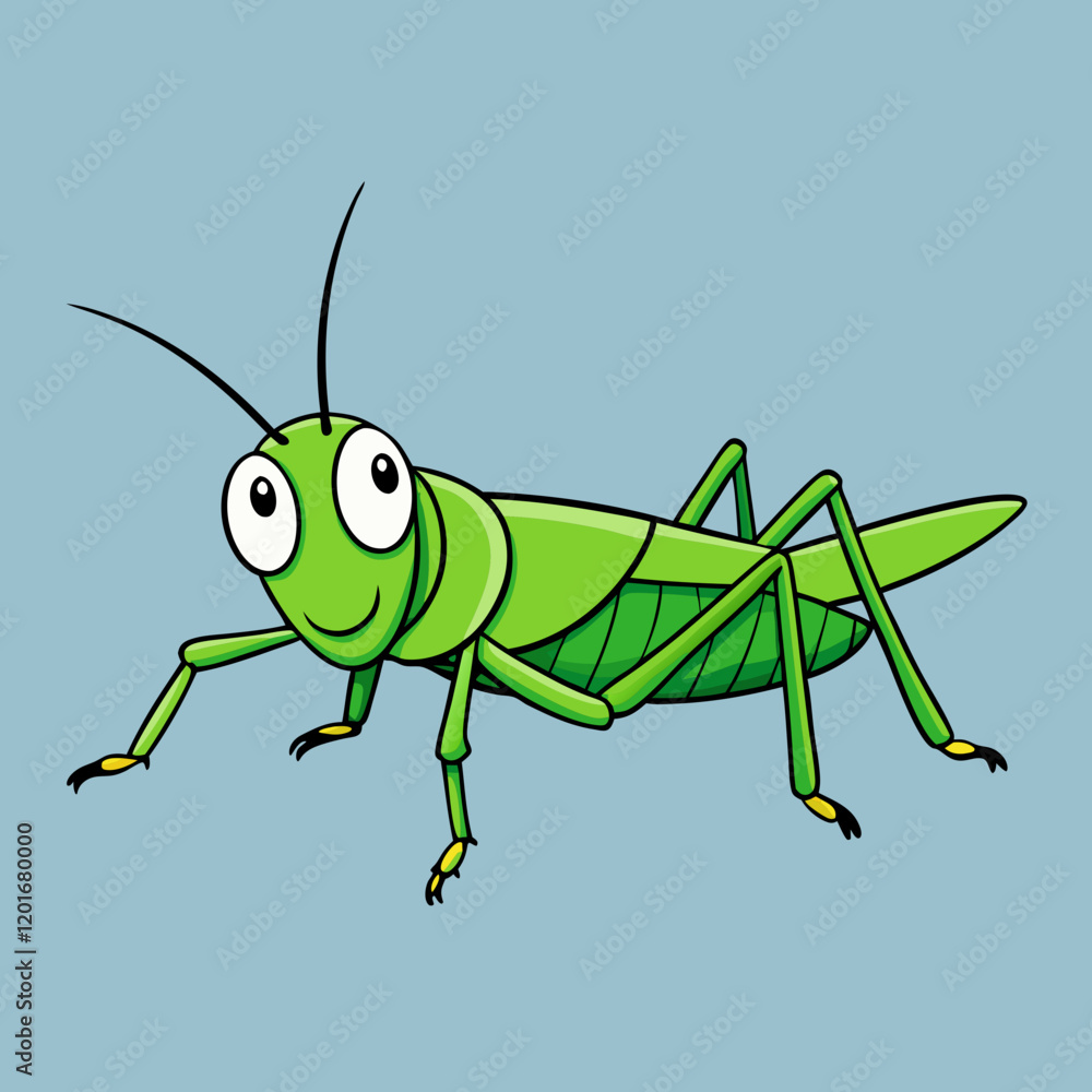 green grasshopper on a white background green grasshopper on a white background