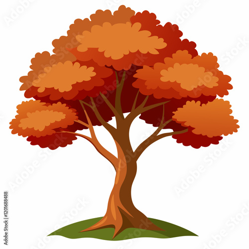 paperbark maple tree vector illustration