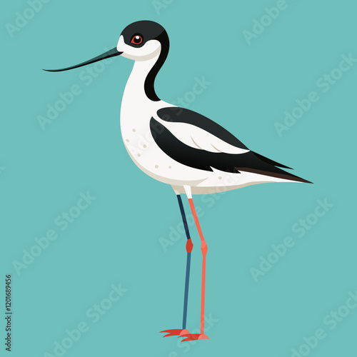 illustration of a pied avocet