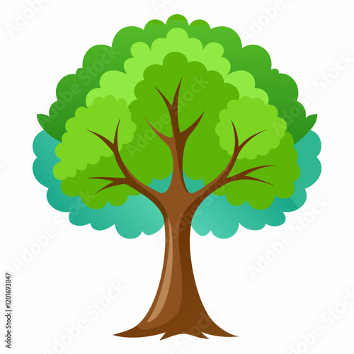 tree with leaves sycamore