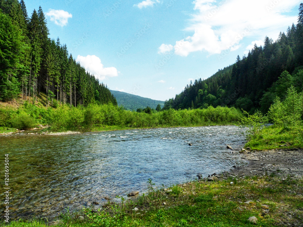 A tranquil mountain river flowing through a lush forest
