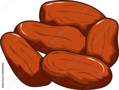 Dates Fruit Vector