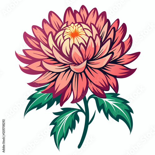 Chrysanthemum Blossom Outline with White Background