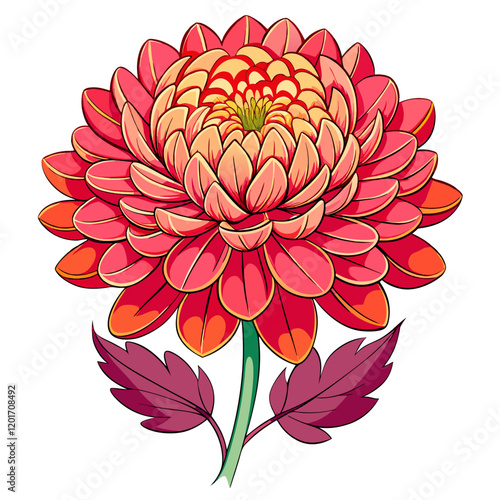 Chrysanthemum Blossom Outline with White Background