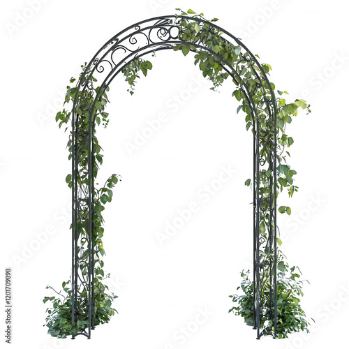 A decorative garden arch adorned with lush green vines and foliage., isolated on a transparent background.