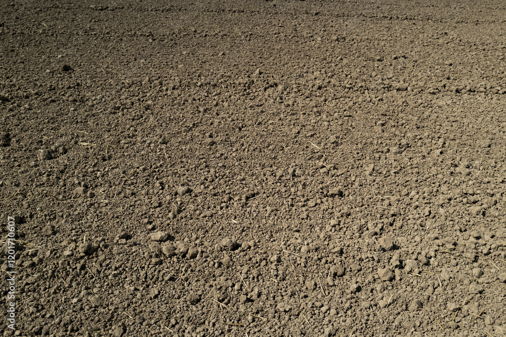 Soil texture background for gardening. Soil as background. Organic gardening. Soil field background. Soil for planting background. Soil texture background for gardening. Soil as background. Organic gardening. Soil field background. Soil for planting background.