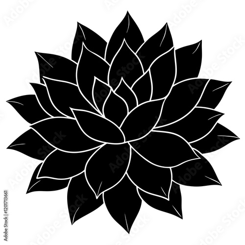 succulent leaves rich in omega3 silhouette vector illustration