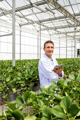 A smiling man in a lab coat stands in a greenhouse filled with lush strawberry plants, holding a tablet and looking engaged. Showcasing the integration of technology in modern agriculture. photo