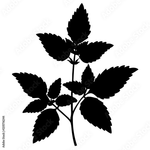  wild mint silhouette vector illustration