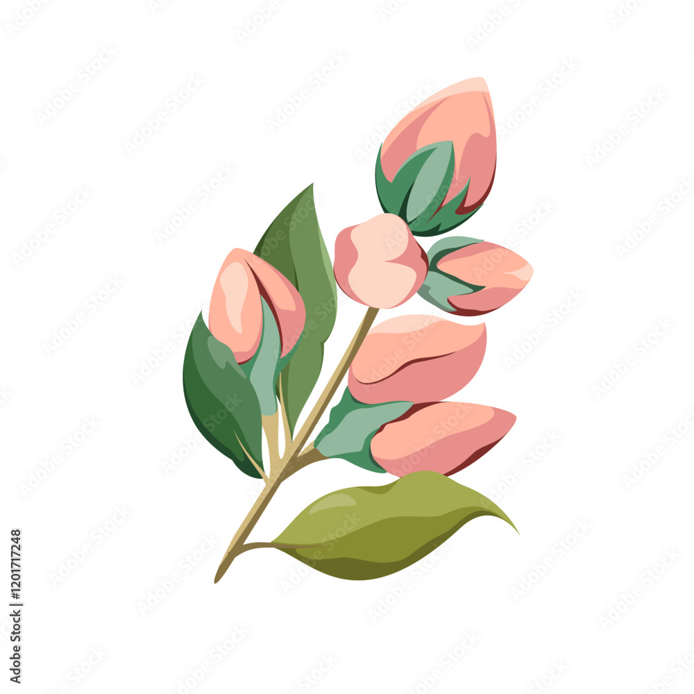 Fototapeta premium Twigs with pink buds on a white background. Flowers for decoration. Vector illustration.