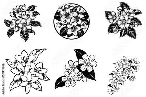 This is a best jasmine flowers vector with illustration design 