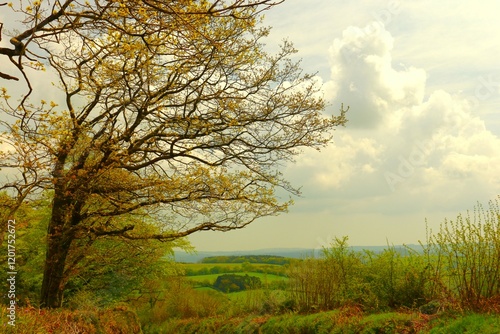 besondere Stimmung im Dartmoor