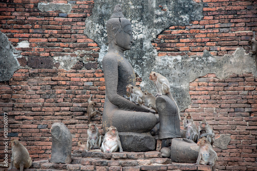 Gang of monkeys guarding the Buddha image photo