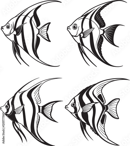 A vector image in black and white displaying three different angelfish silhouettes, highlighting their graceful shapes