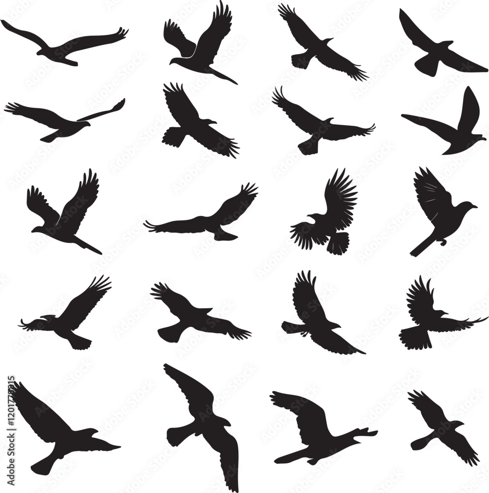 Fototapeta premium Set of vector silhouettes depicting crows flying, highlighting diverse postures and wing positions