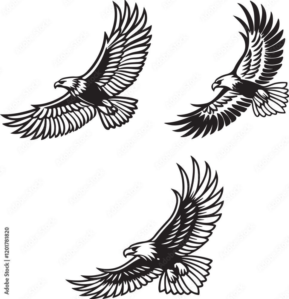 Fototapeta premium Vector illustration of a flying eagle, available for purchase at $1 USD, showcasing its majestic wingspan