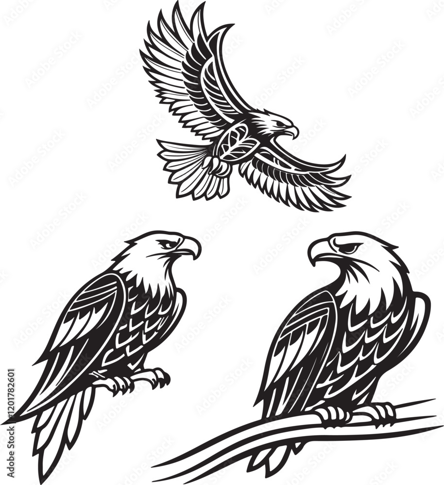 Fototapeta premium Vector illustration of a flying eagle, available for purchase at $1 USD, showcasing its majestic wingspan