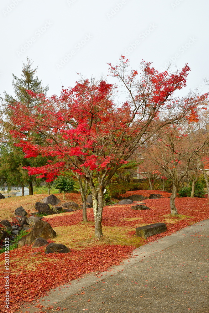 Naklejka premium 史跡恵日寺日本庭園(福島県)