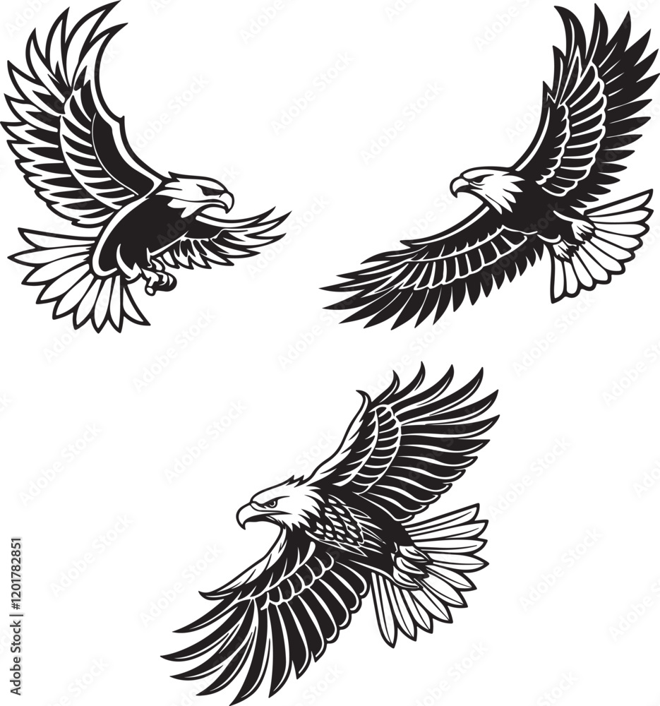 Fototapeta premium Vector illustration of a flying eagle, available for purchase at $1 USD, showcasing its majestic wingspan