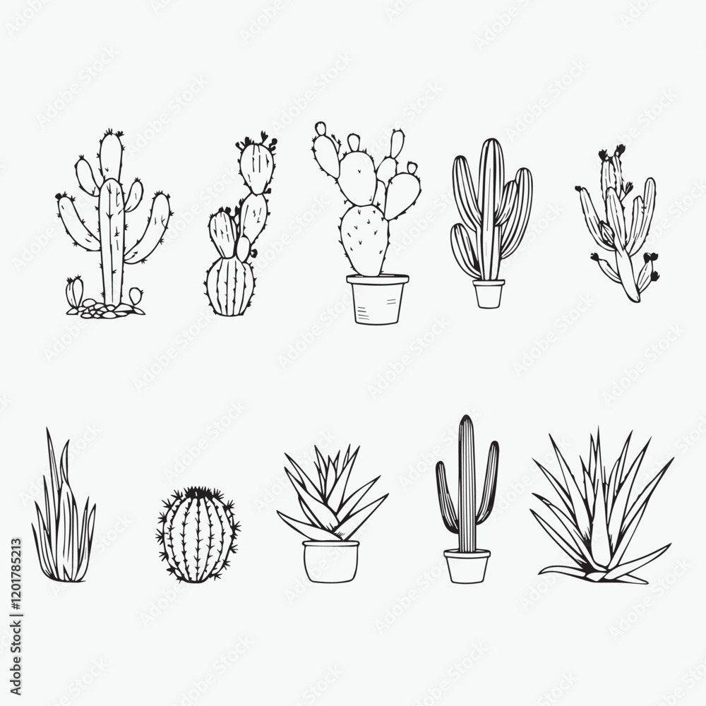 Fototapeta premium vector-style cactus bundle iconic hand-drawn line art illustration elements design