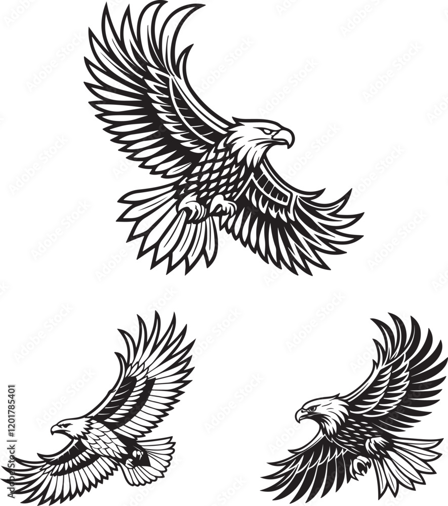 Fototapeta premium Vector illustration of a flying eagle, available for purchase at $1 USD, showcasing its majestic wingspan