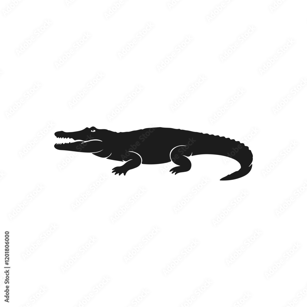 Fototapeta premium Adobe Illustrator Artwork