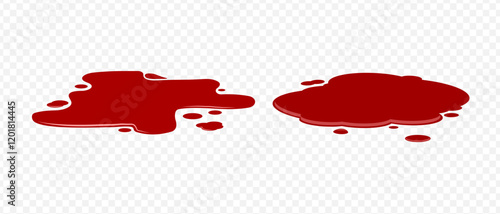 Blood spilled or paint. Two puddle of blood. Fresh blood. Puddle of red paint. Site of occurrence. Crime scene.	
