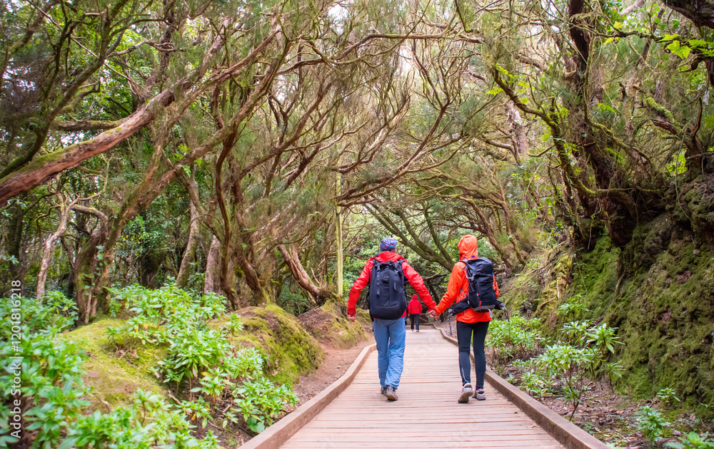 Obraz premium Sporty tourist couple on hiking trail in Anaga Rural Park - ancient rain forest on Tenerife, Canary Islands.