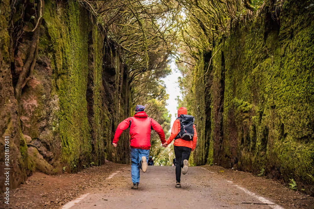 Fototapeta premium Sporty tourist couple on hiking trail in Anaga Rural Park - ancient rain forest on Tenerife, Canary Islands.