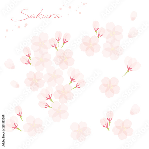桜の手書き水彩画イラスト