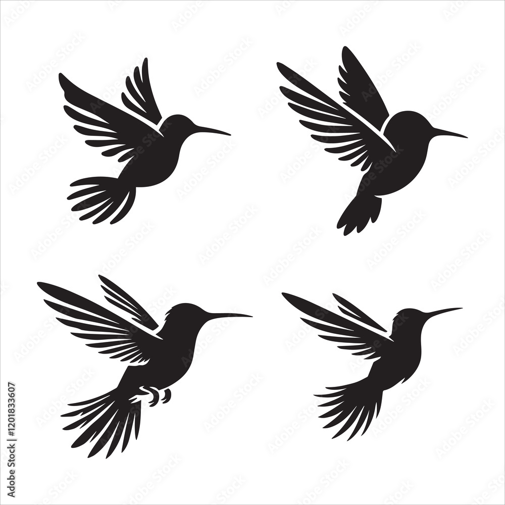 Obraz premium Hummingbird Hovering silhouette