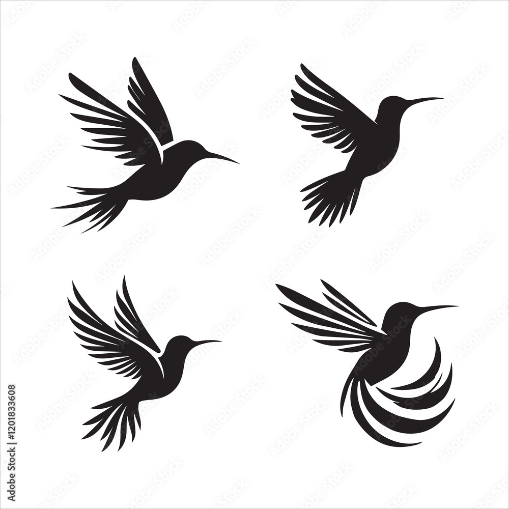 Obraz premium Hummingbird Hovering silhouette 