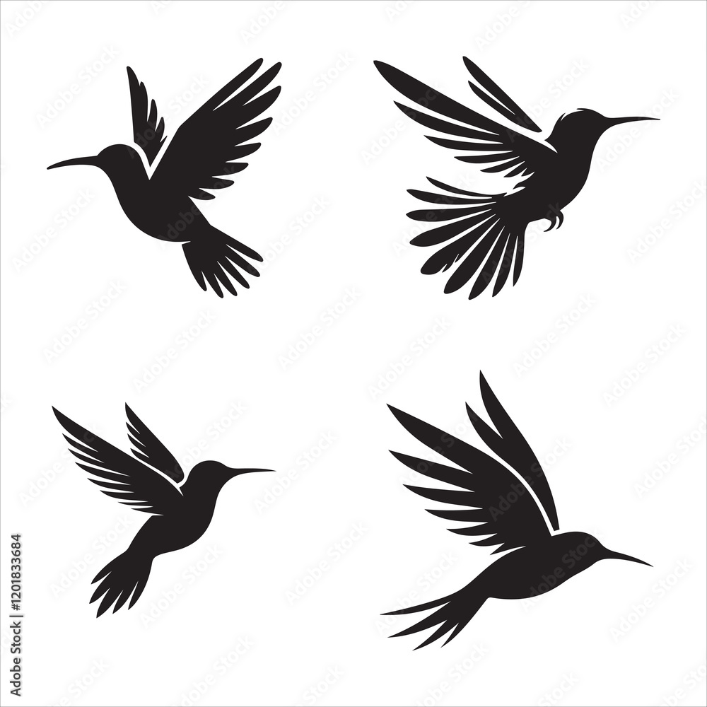 Obraz premium Hummingbird Hovering silhouette