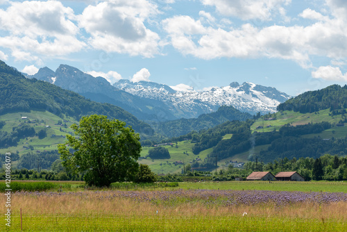 Fotografía Natural scenery in Wangen-Lachen in Switzerland
