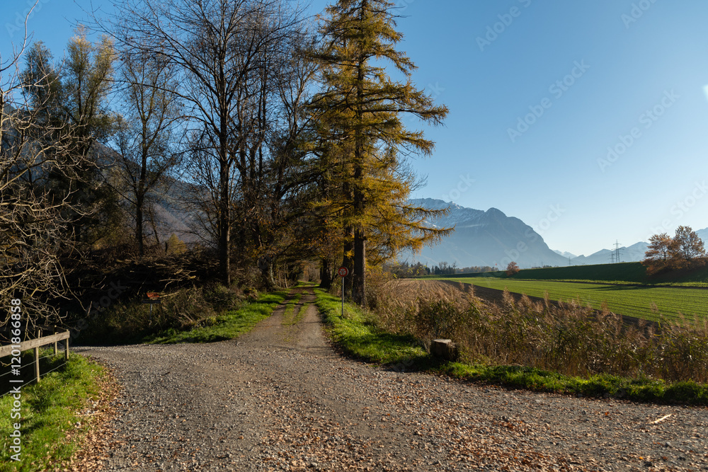 Majestic landscape on a sunny day in Schaan in Liechtenstein Majestic landscape on a sunny day in Schaan in Liechtenstein