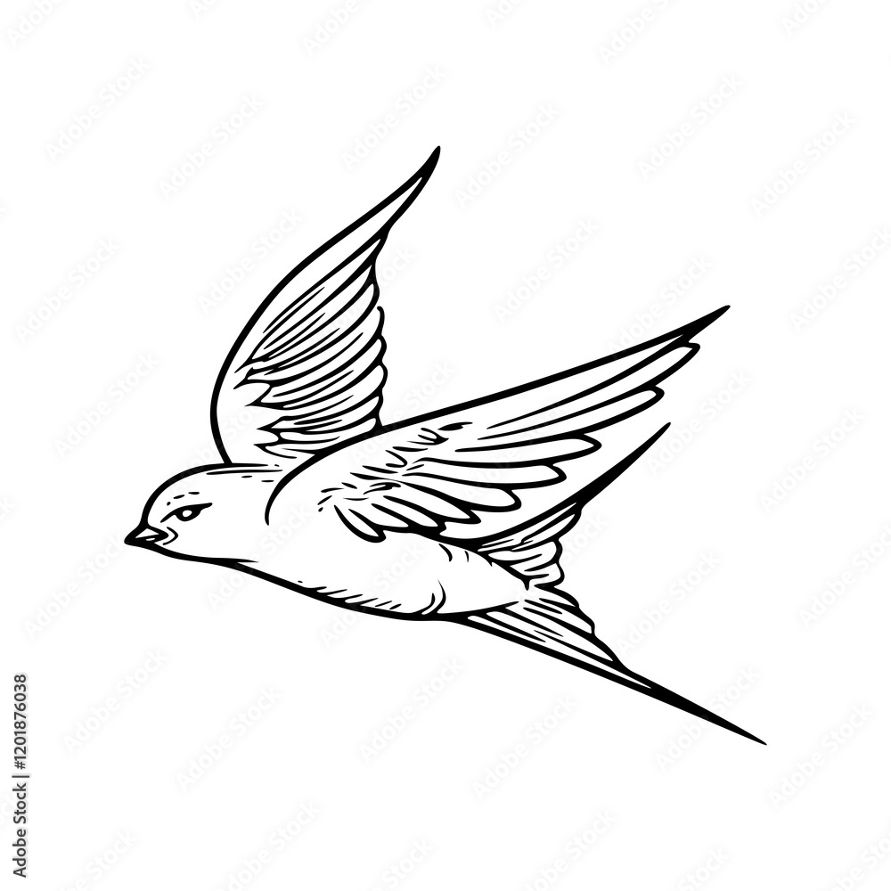Fototapeta premium a line art drawing of flying bird design illustration