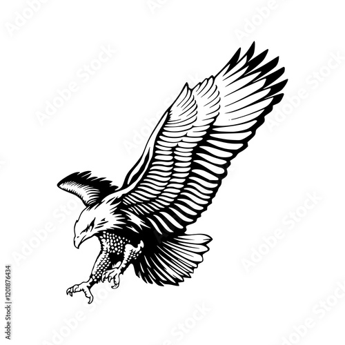a detailed drawing of a eagle illustration