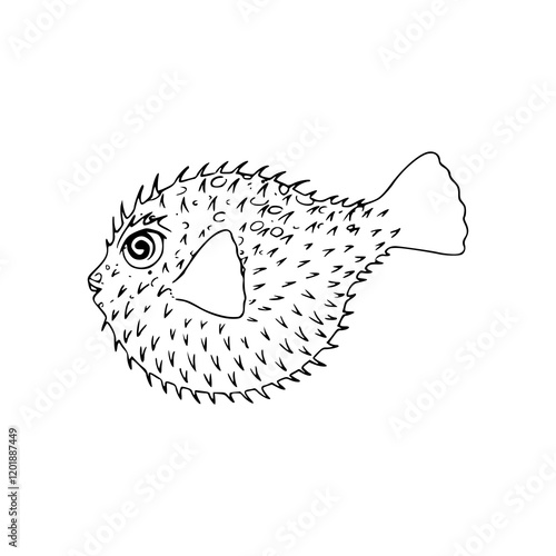 a line art drawing of a puffer fish illustration