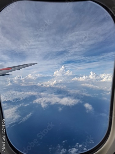 飛行機からの景色