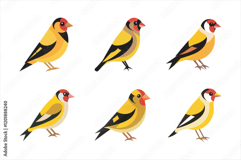 Fototapeta premium Goldfinch Vector Bundle - Charming Bird Illustrations. perfect for nature, wildlife, and bird-themed projects.