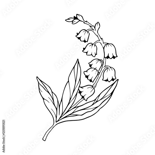 Minimalist Hand Drawn Beautiful Floral Bouquet Illustration