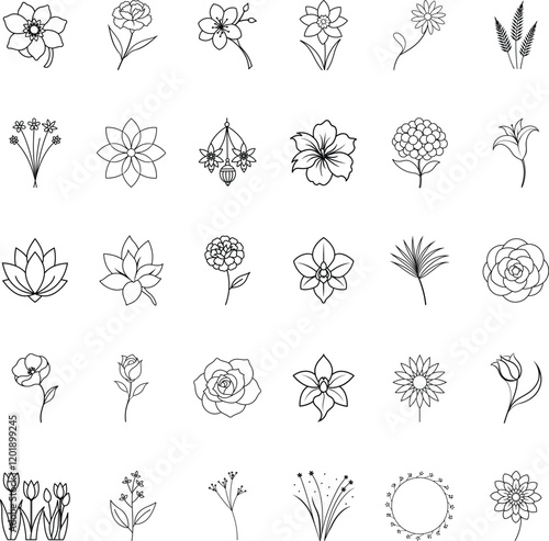 Elegant Simple Line Art Flower Drawings Botanical Illustrations