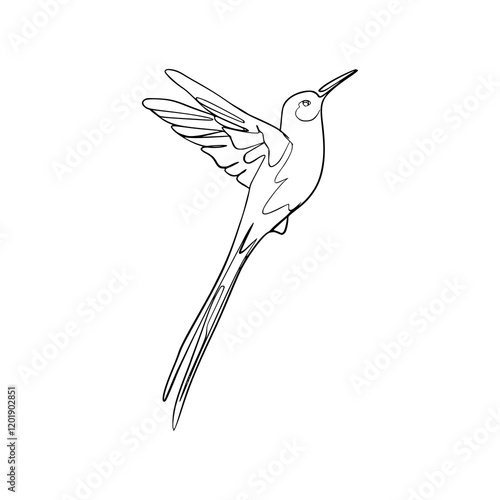 a line art drawing of a flying hummingbird illustration