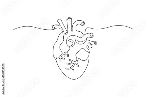 Human heart drawn with continuous line in minimalism, abstract, muscular organ, medicine, cardiology, anatomy, one line, editable vector contour