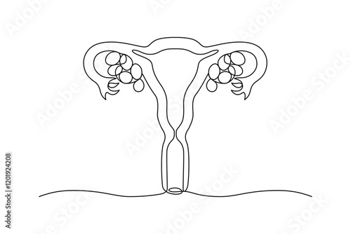 Uterus, drawn with continuous line in minimalism, abstract, reproductive organ, medicine, gynecology, motherhood, anatomy, one line, editable vector contour