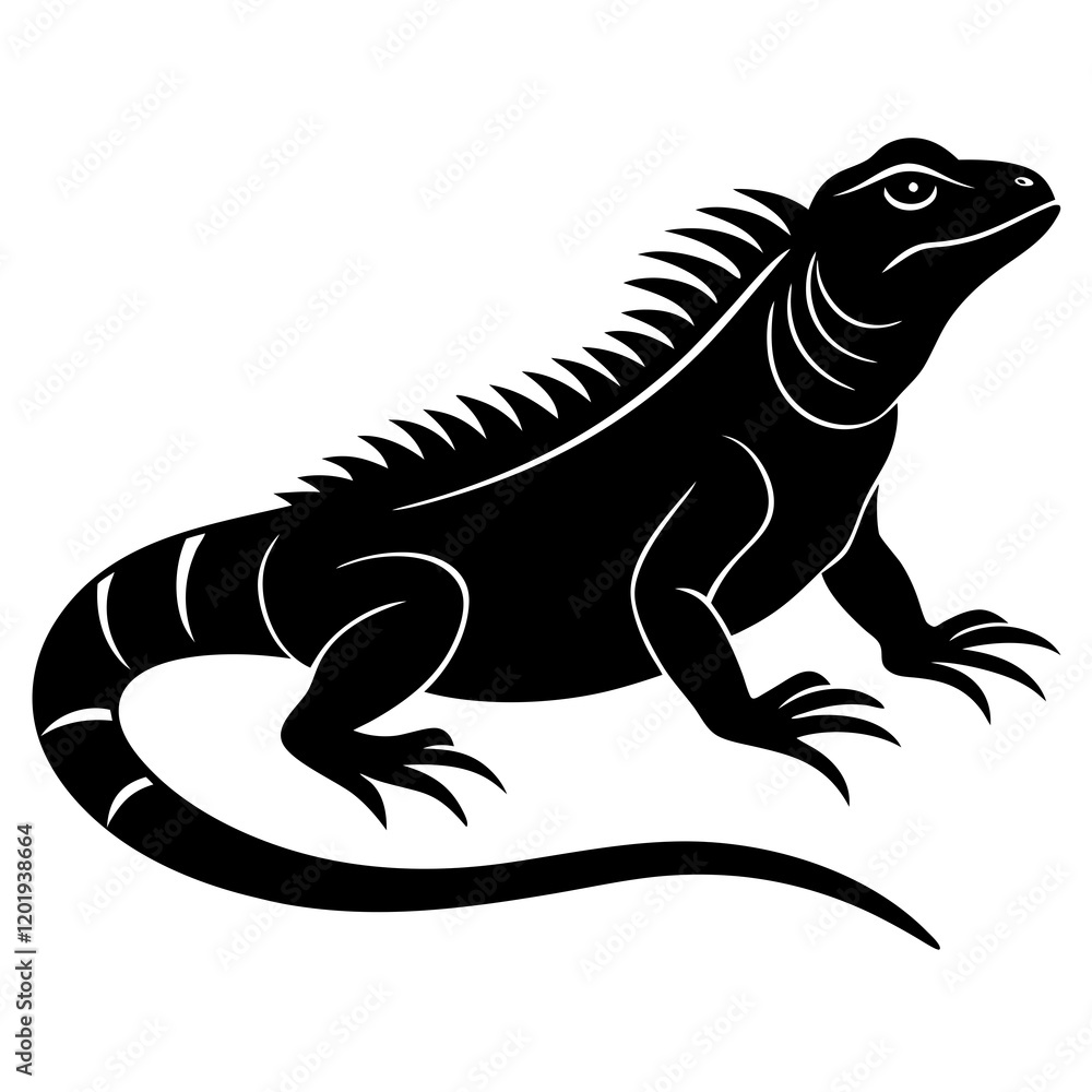 lizard on a white background lizard on a white background