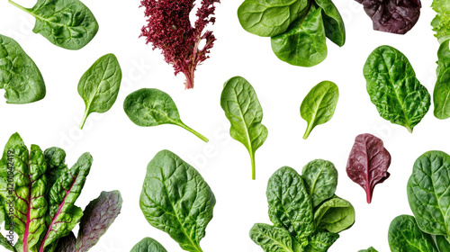 An assortment of fresh greens, including various types of spinach and lettuce, arranged artistically on a black background.
