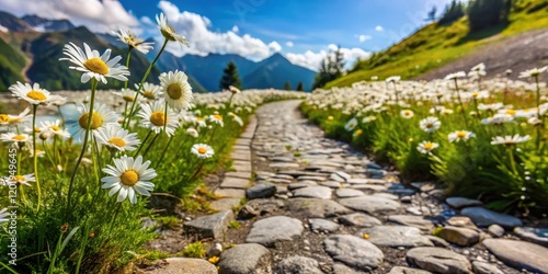 Alpine stone path with g?nsebl?mchen wildflowers, outdoor landscape photo